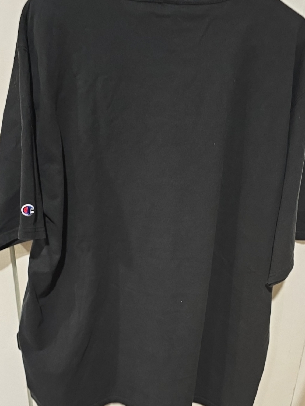 Champion - Picture 3 of 3